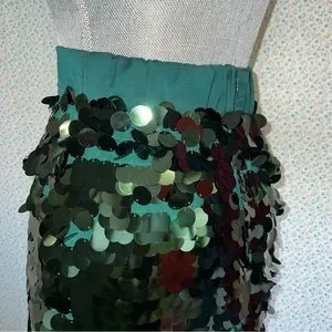 Crew Skirts Jcrew Womens Paillettes Sequin Green Long Skirt